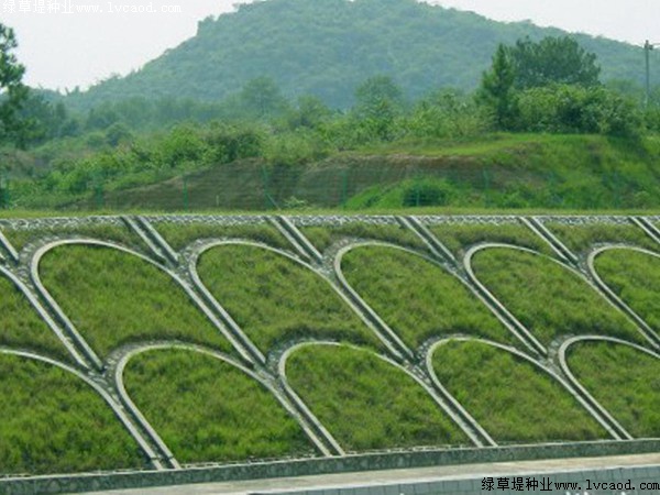 鐵路路基護坡綠化工程應(yīng)用