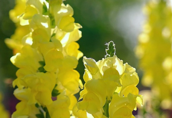 1628942153128706.jpg image.jpg