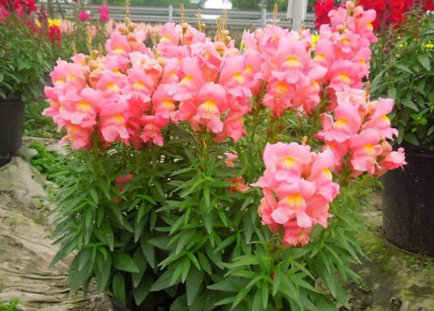 1671544509395914.jpg 0.jpg