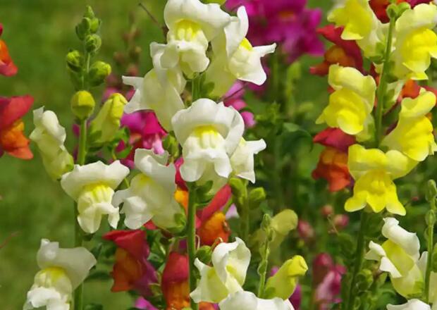 1671544524426114.jpg 0+.jpg