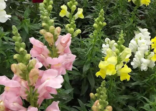 1671544537433518.jpg 0++.jpg